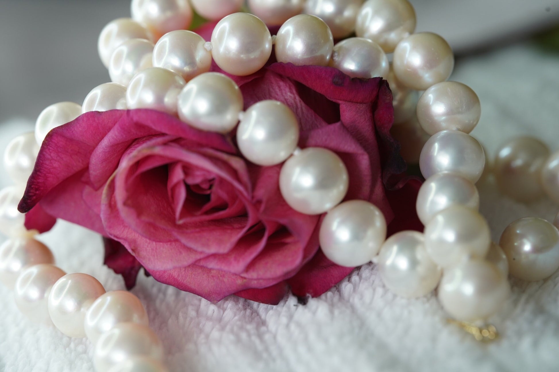14k Gold Large Cultured freshwater Pearls. 15in length. Knotted strand.