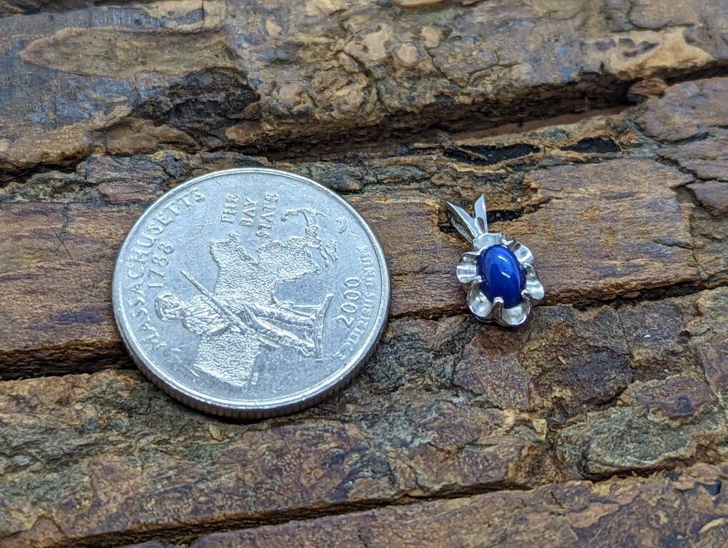 Blue Star Sapphire Pendant. 10k Star Sapphire Cabochon Charm Pendant. st12/11