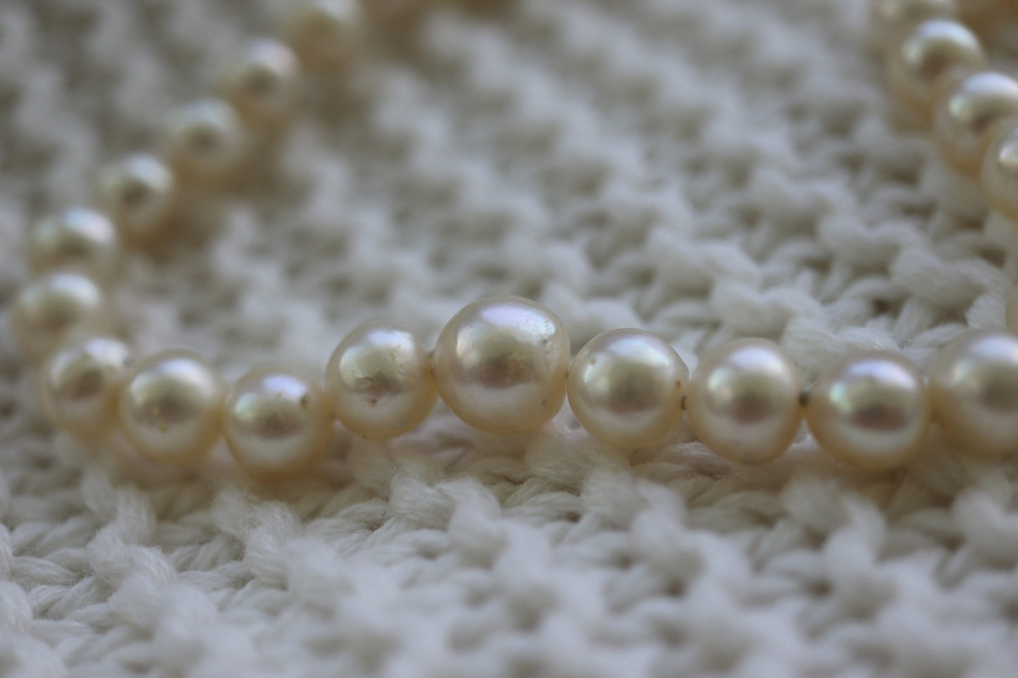 14k Sapphire Graduated Saltwater Pearl Choker one thread necklace. Large Pearl Necklace. st(142)