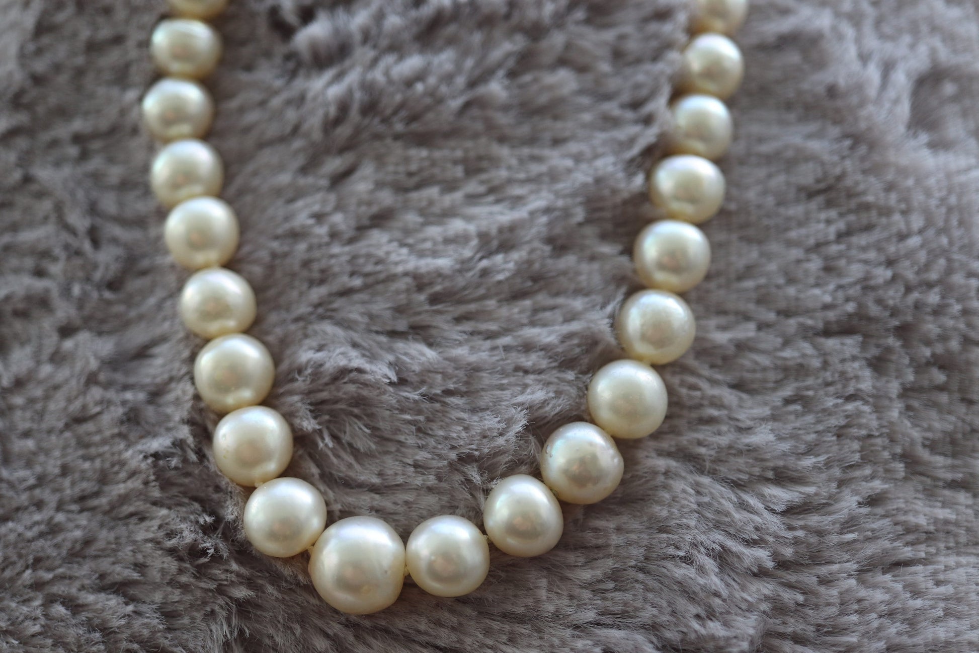 14k Sapphire Graduated Saltwater Pearl Choker one thread necklace. Large Pearl Necklace. st(142)