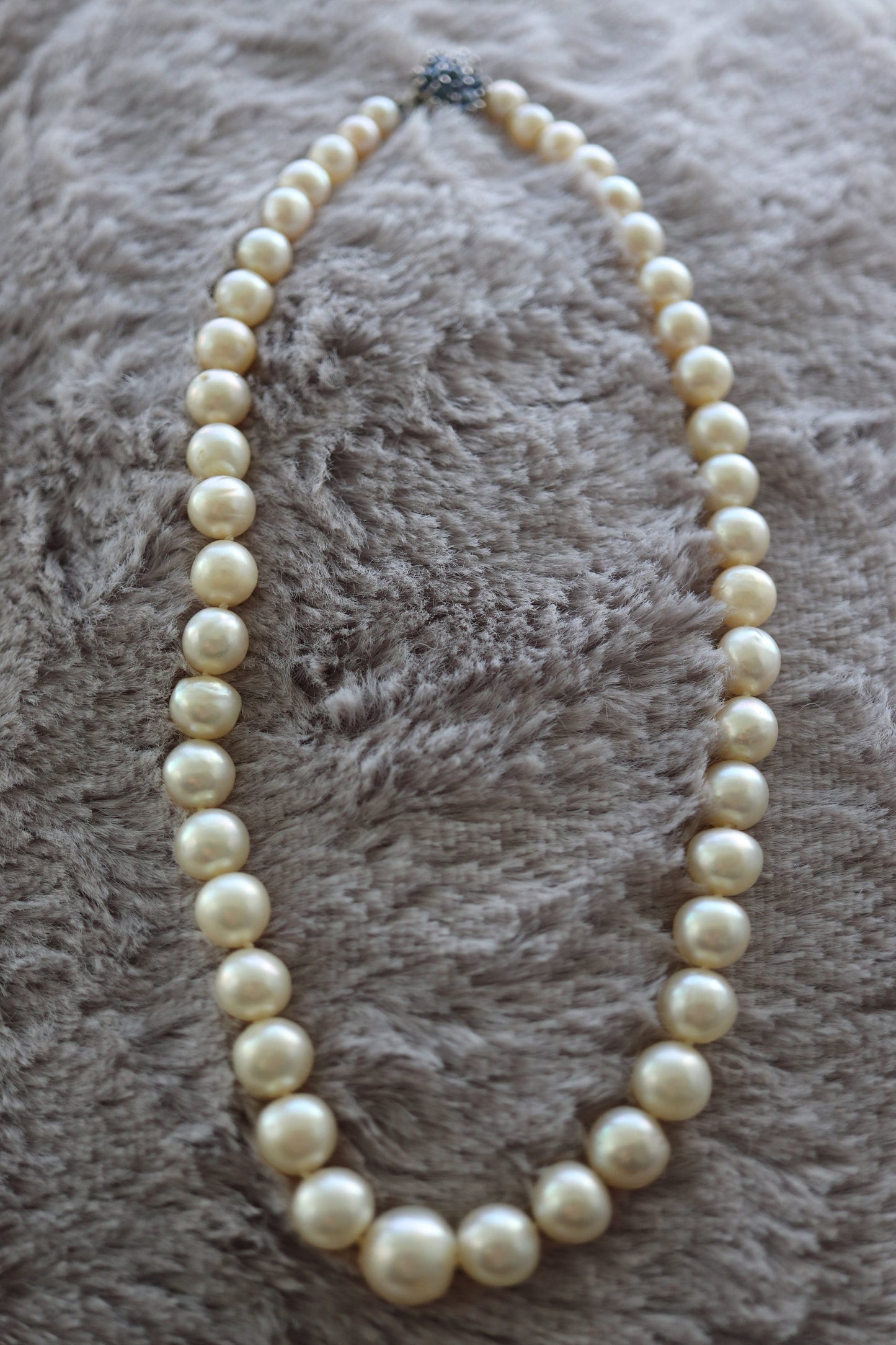 14k Sapphire Graduated Saltwater Pearl Choker one thread necklace. Large Pearl Necklace. st(142)