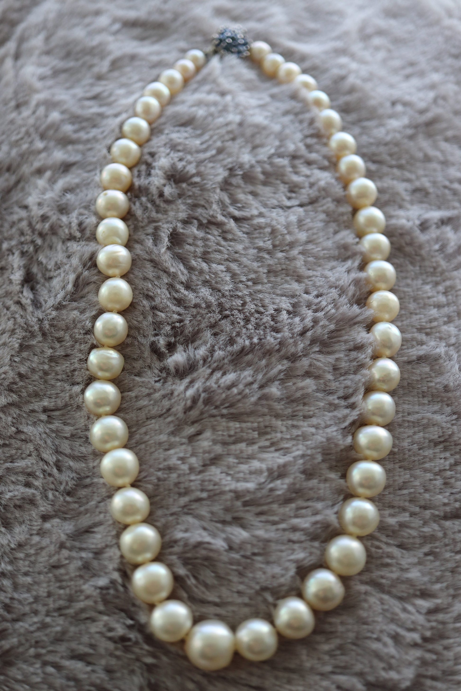 14k Sapphire Graduated Saltwater Pearl Choker one thread necklace. Large Pearl Necklace. st(142)