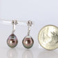 TASAKI Earrings. Genuine Platinum Tahitian Pearl Blister. PT900 Large Tahitian