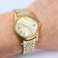 Omega Watch. Omega Seamaster Vintage Automatic Mens. Omega ref. 14763-61