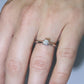 Cartier Platinum Diamond Solitaire ring.  PT950 Cartier 1895 Engagement Ring.