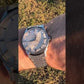 OMEGA Constellation Pie Pan Automatic Mens Watch. Ref 167.005 Stainless Steel.