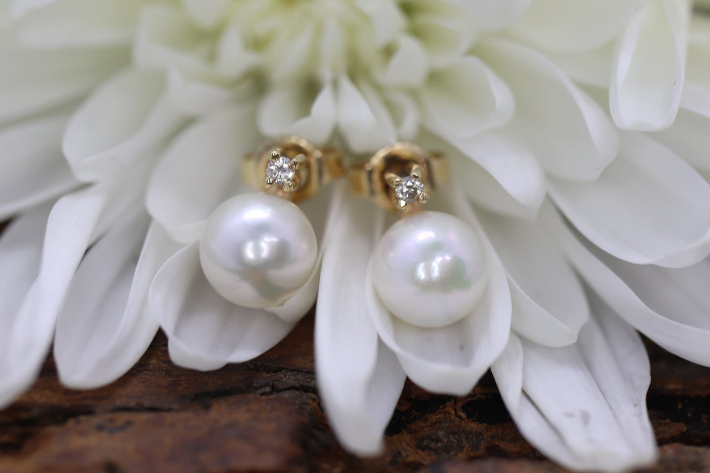 14k Pearl and Diamond stud earrings. Elegant and Dainty Pearl diamond studs. st(28/75)