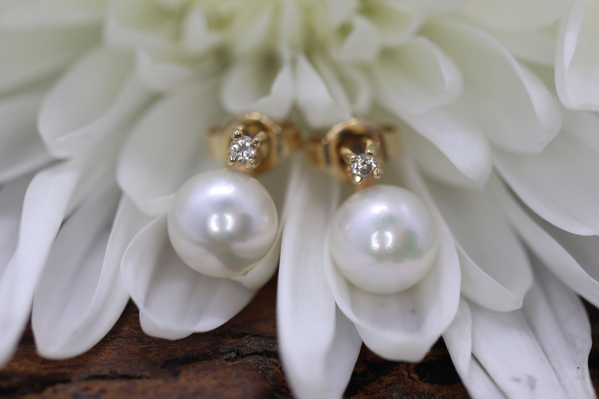 14k Pearl and Diamond stud earrings. Elegant and Dainty Pearl diamond studs. st(28/75)