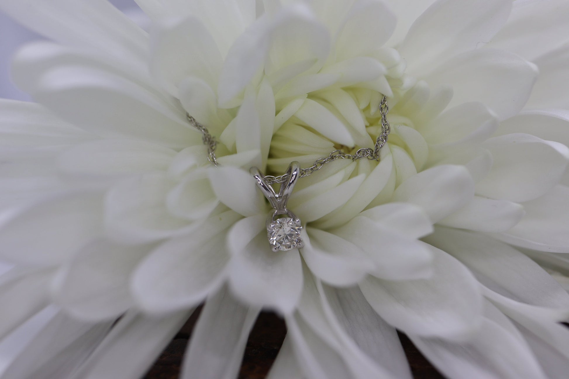 14k Diamond Solitaire Pendant. 14k White gold wheat necklace. st(126/50)