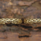 14k Gold Filigree Puffed Hollow HOOP Earrings. Intricate filigree HOOP earrings design. Hoops. st54/63