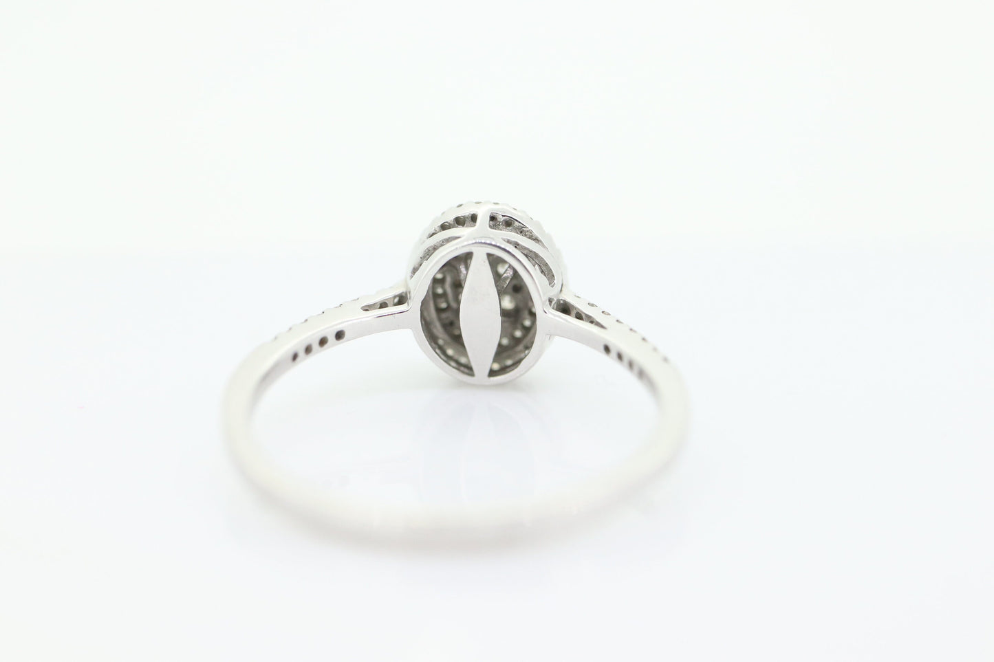 10k Diamond HALO Cluster Elevated Ring. 10k White gold with round diamond Double Halo arrangement. st(92)