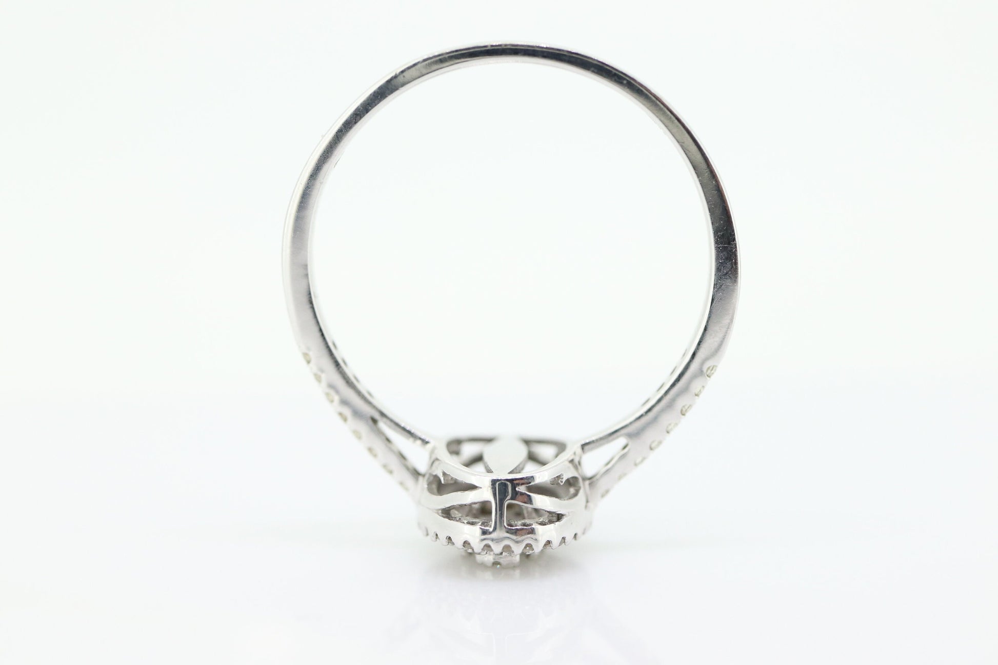 10k Diamond HALO Cluster Elevated Ring. 10k White gold with round diamond Double Halo arrangement. st(92)