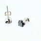 Black Diamond stud earrings. 14k Stud posts with 1.67ctw Diamonds. Jet Black. stock 160/11