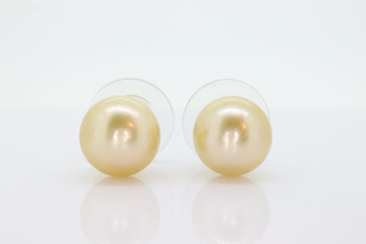 GOLDEN SOUTH SEA Pearl Stud Earrings -10mm Deep Golden South Sea Pearls - 14k Yellow gold - Earrings - st(196/11)